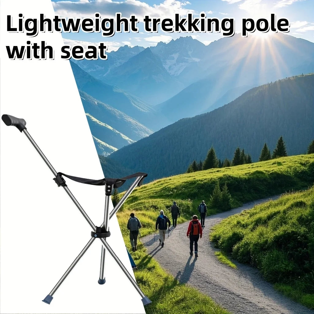 “2-in-1 Foldable Cane Chair”